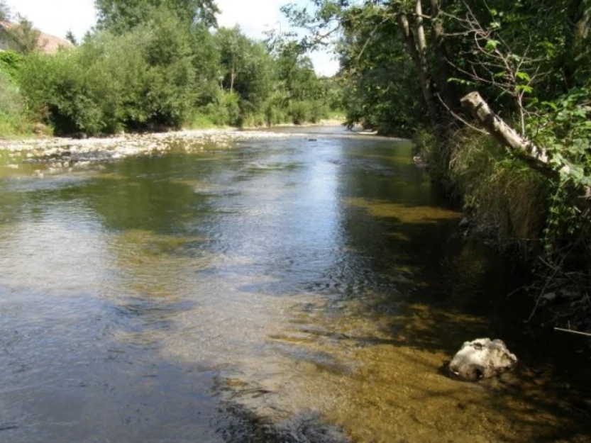 Zdjęcie Domki Nad Rozlewiskiem #11