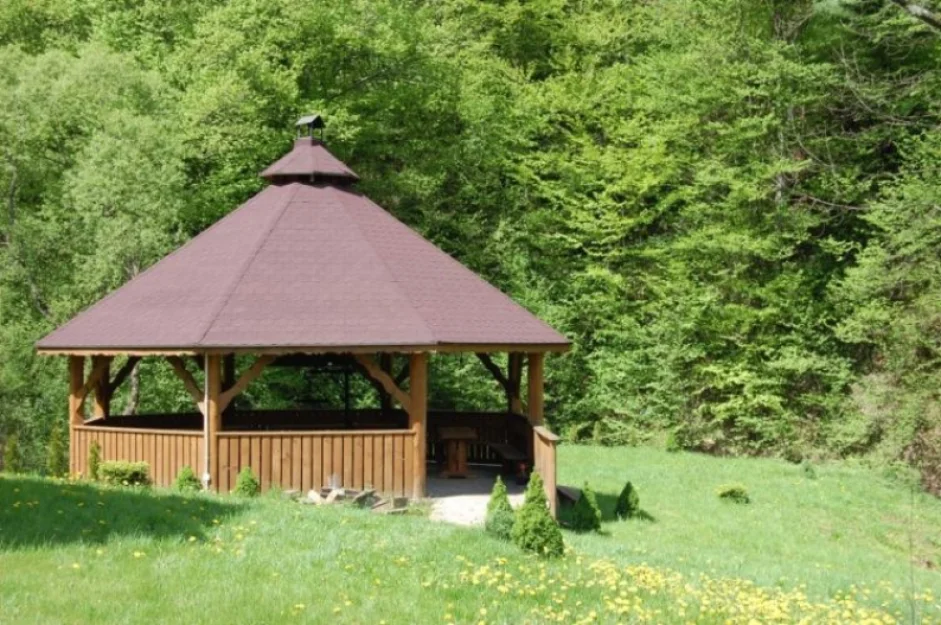 Zdjęcie DW Niezapominajka #7