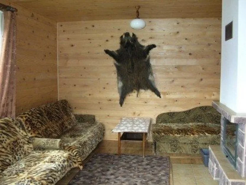 Zdjęcie Domek Nad Strumieniem #8