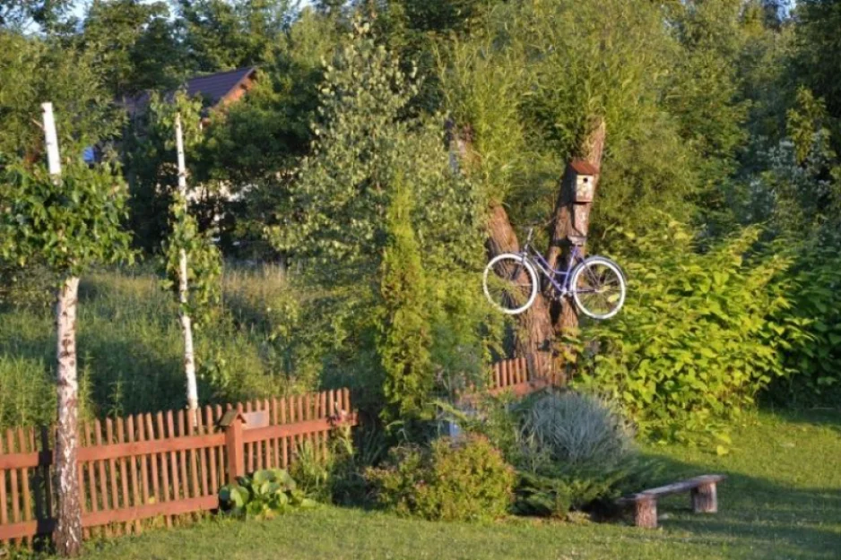 Zdjęcie Agroturystyka Sokole Pole #4