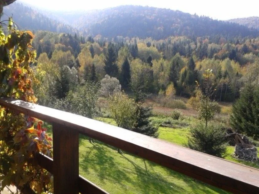 Zdjęcie Agroturystyka Sokole Pole #5