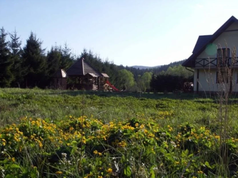 Zdjęcie Dolina Obiecana #10