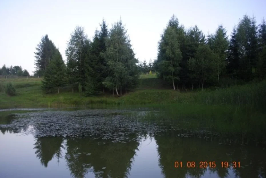 Zdjęcie Tajemnicza Kraina #15