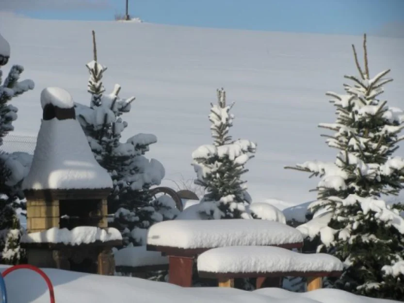 Zdjęcie Pod Złotą Wiechą #20