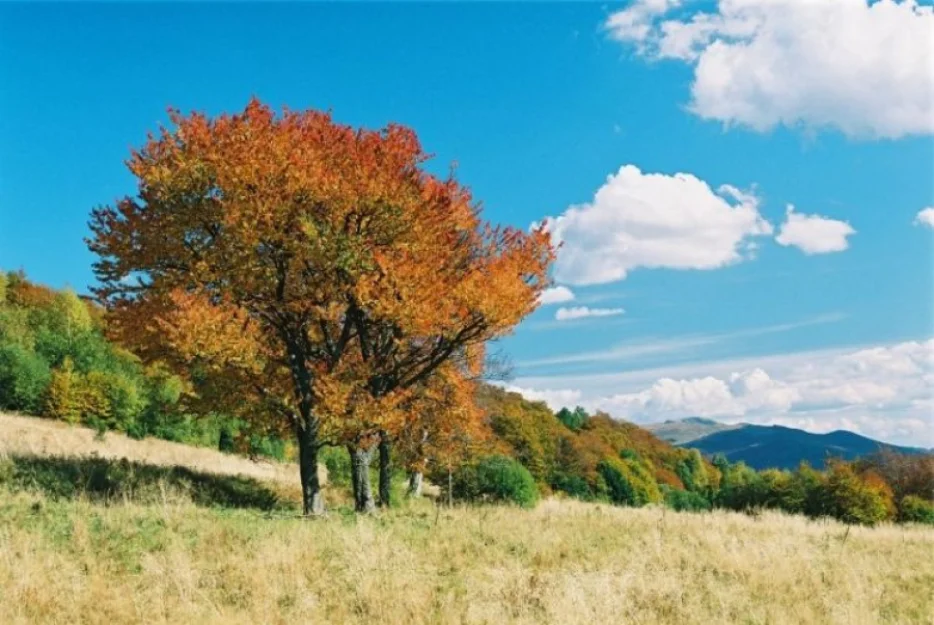 Zdjęcie Domki "Na Wzgórzu" w Solinie #11