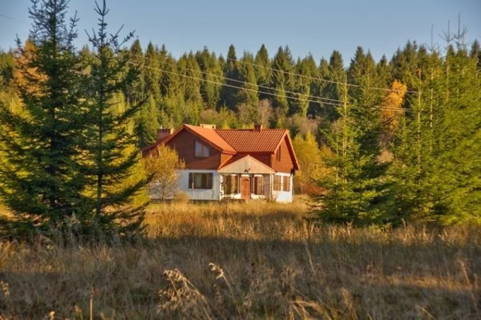 Zdjęcie Smerek 9 #8