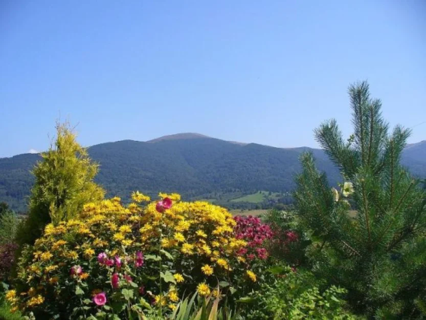 Zdjęcie Siedlisko Smreczyna #3