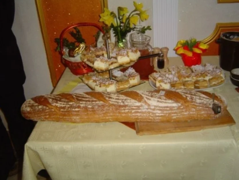 Zdjęcie Willa Cicha #10