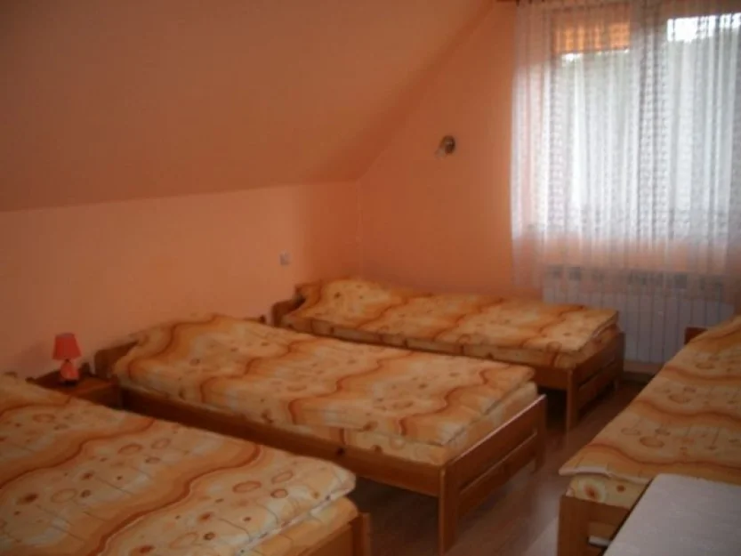 Zdjęcie Cypisówka #3