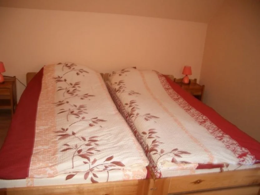 Zdjęcie Cypisówka #4