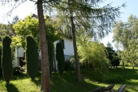 Aleja Brzóz noclegi, kwatery