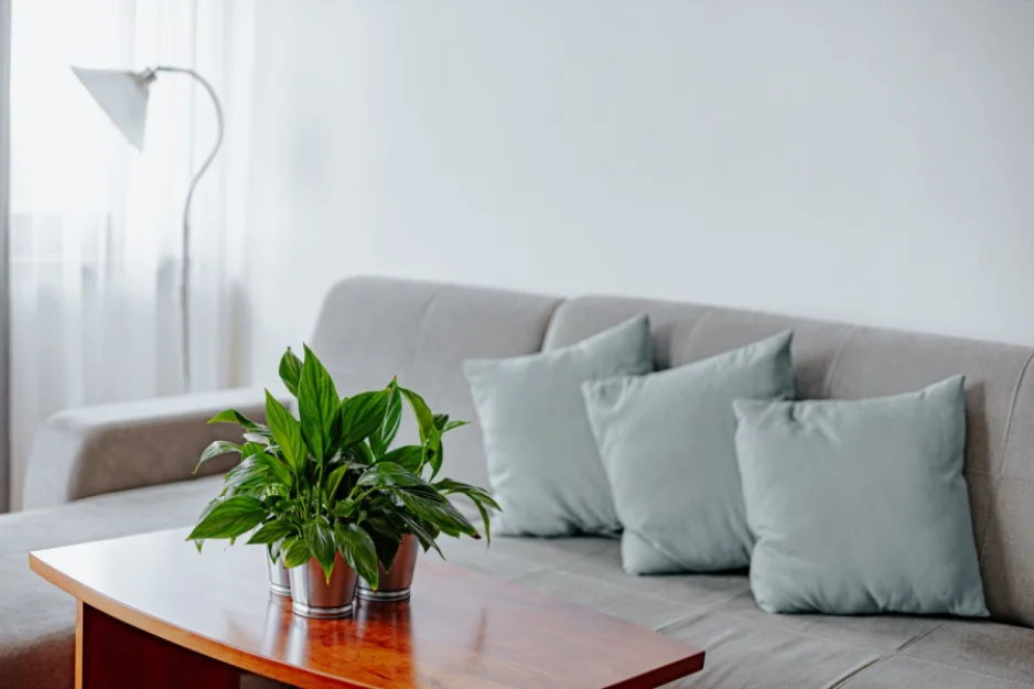 Zdjęcie Pensjonat Panorama SPA #37