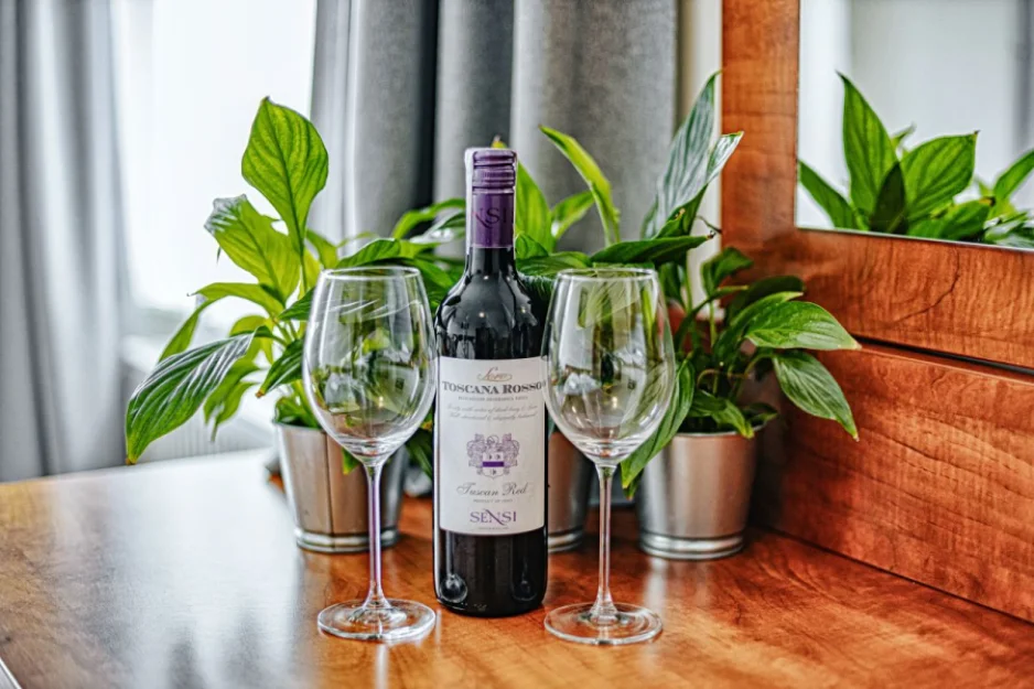 Zdjęcie Pensjonat Panorama SPA #49