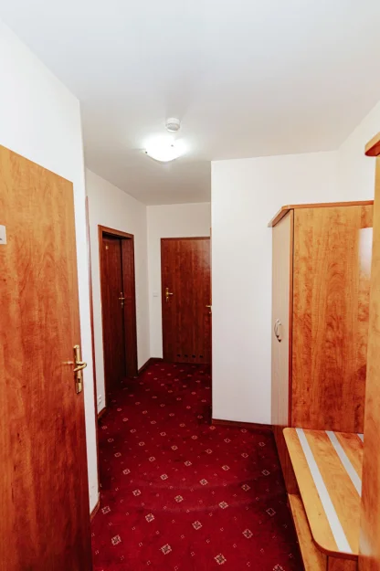 Zdjęcie Pensjonat Panorama SPA #54