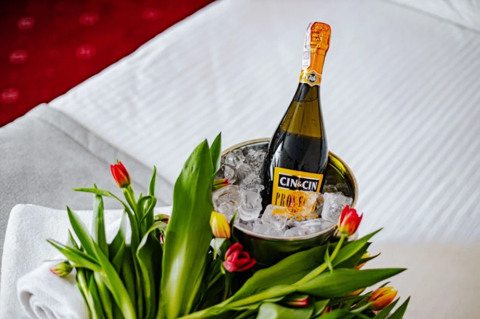 Zdjęcie Pensjonat Panorama SPA #55