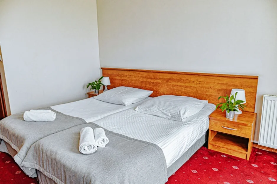 Zdjęcie Pensjonat Panorama SPA #58