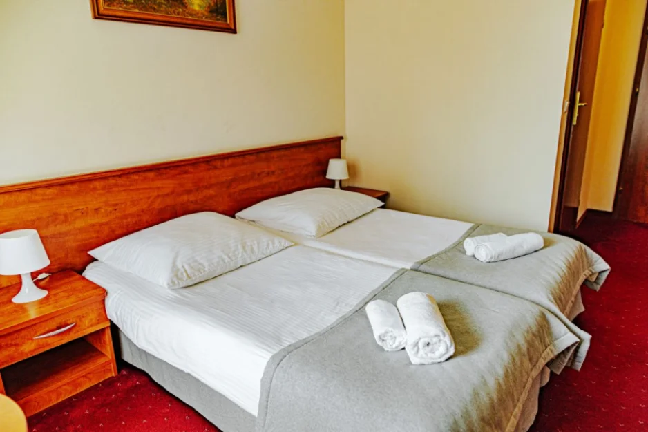 Zdjęcie Pensjonat Panorama SPA #65