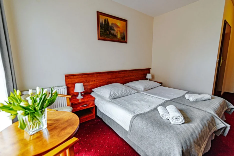 Zdjęcie Pensjonat Panorama SPA #71