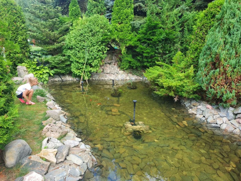 Zdjęcie Pokoje i Domki BRYDAR  #52