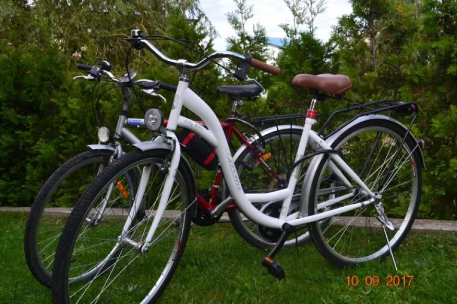 Zdjęcie Willa Balticus #58