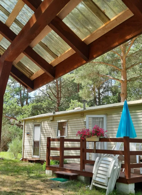 Zdjęcie "Między Sosnami a Brzegiem Jeziora" #26