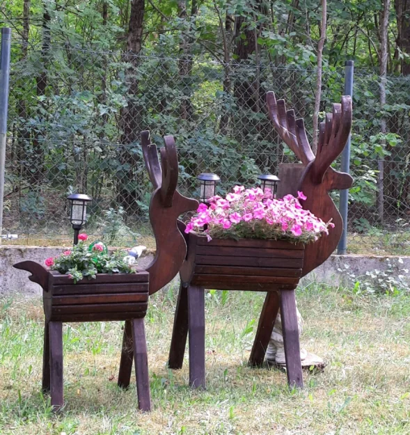 Zdjęcie "Między Sosnami a Brzegiem Jeziora" #16