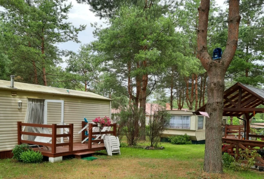 Zdjęcie "Między Sosnami a Brzegiem Jeziora" #4