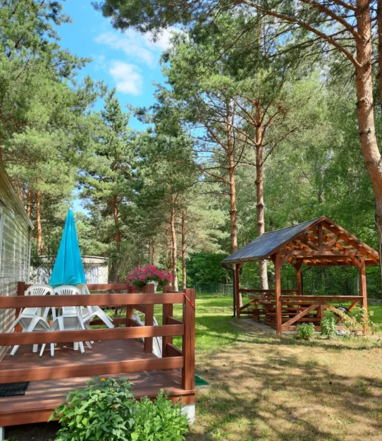 Zdjęcie "Między Sosnami a Brzegiem Jeziora" #13