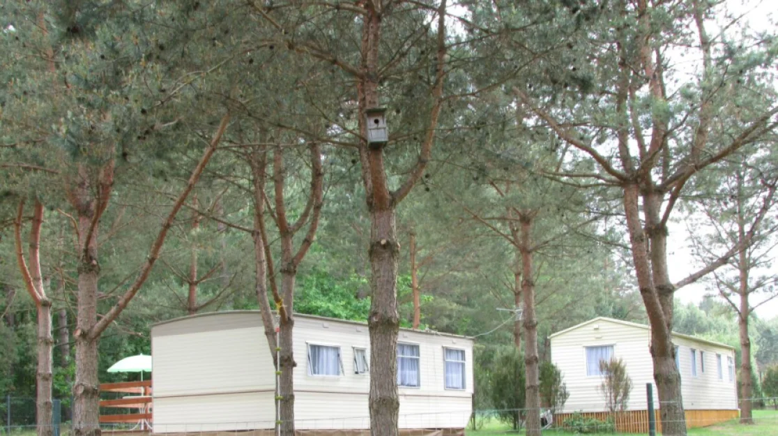 Zdjęcie "Między Sosnami a Brzegiem Jeziora" #41