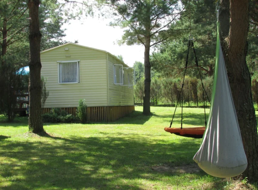 Zdjęcie "Między Sosnami a Brzegiem Jeziora" #31