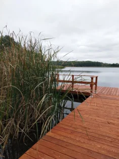 "Między Sosnami a Brzegiem Jeziora"