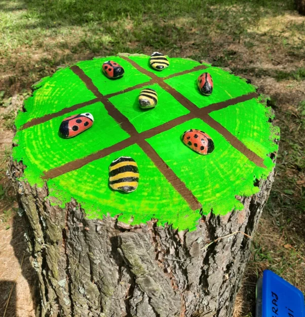 Zdjęcie "Między Sosnami a Brzegiem Jeziora" #46