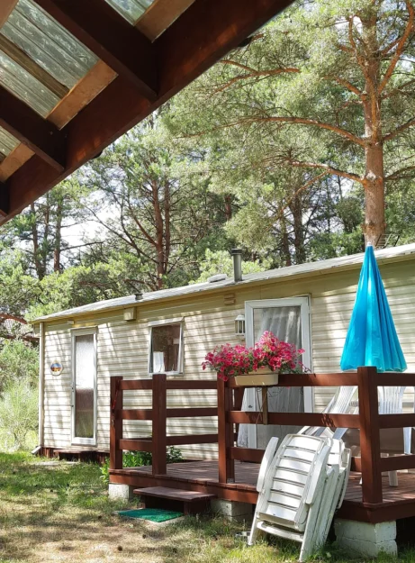 Zdjęcie "Między Sosnami a Brzegiem Jeziora" #48