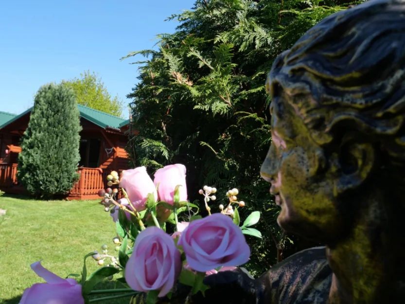 Zdjęcie Domki całoroczne MARCELINA #16