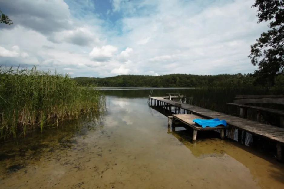 Zdjęcie Leśniczówka Nad Jeziorem #3