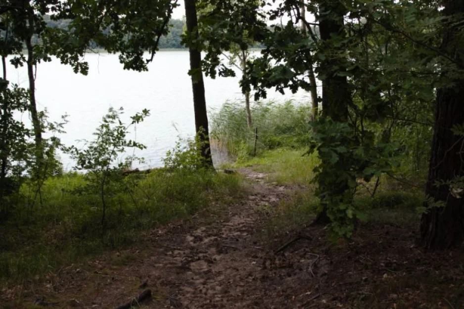 Zdjęcie Leśniczówka Nad Jeziorem #5