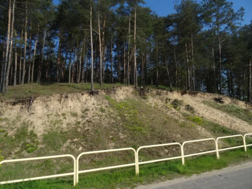 Zdjęcie Gospodarstwo Agroturystyczne EKO-ZAGRODA #4