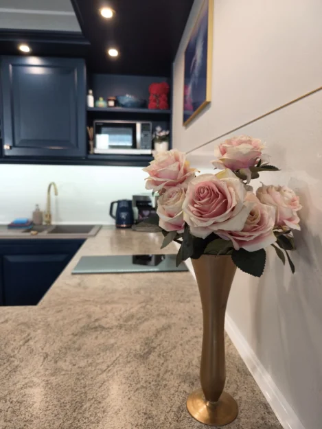 Zdjęcie Aster Aparts Sopot #16