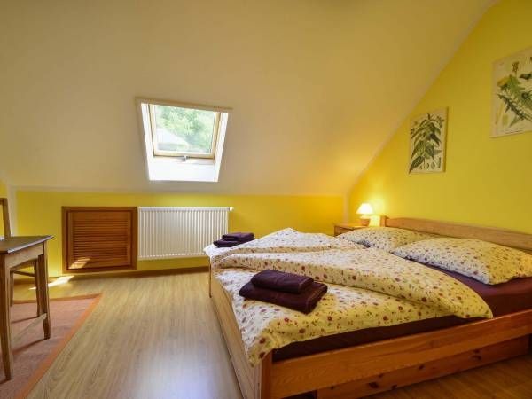 Zdjęcie Apartament Dom Ogrodnika #4