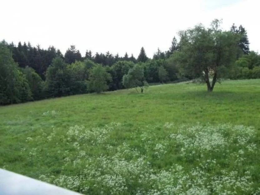 Zdjęcie Kamienna Polana #6