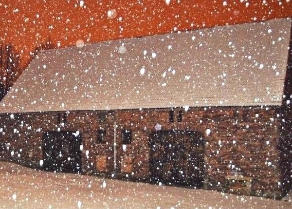 Zdjęcie Folwark Stara Kamienica #3