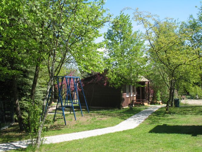 Zdjęcie Ośrodek Letniego Wypoczynku #3