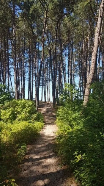 Zdjęcie Domki Morskie Piaski #17