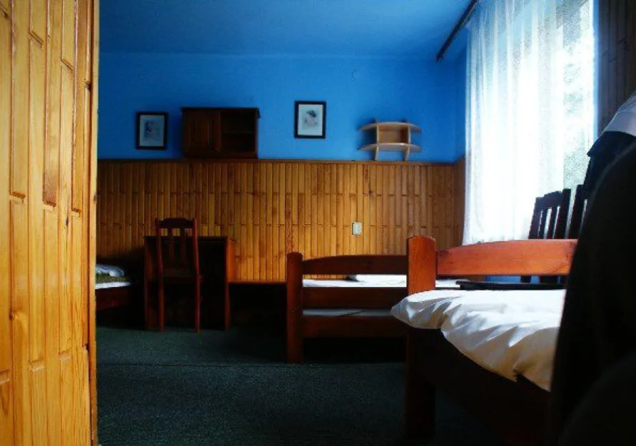 Zdjęcie Willa Górska #1