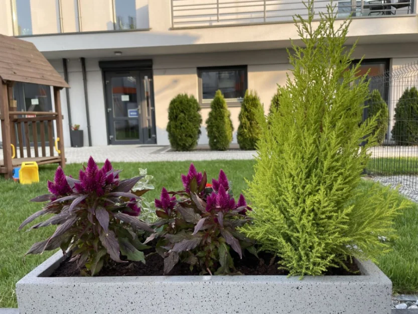 Zdjęcie Pokoje DUET #41