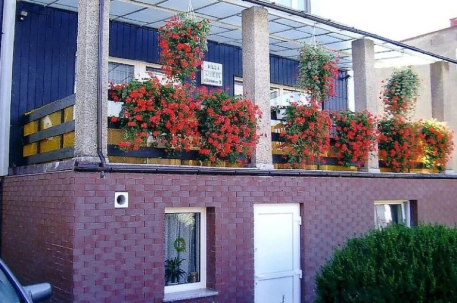 Zdjęcie Willa Rhein #1