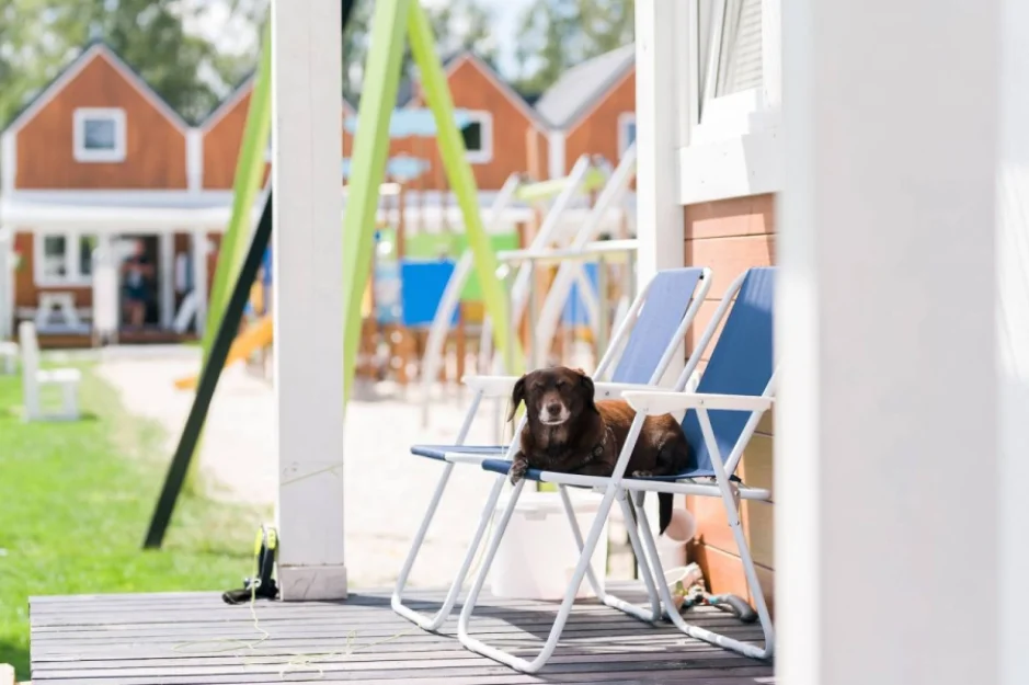 Zdjęcie DOMKI DZIWNÓW #64