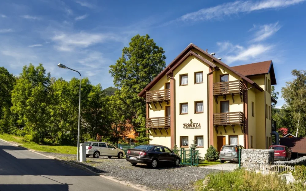 Zdjęcie Pensjonat Toreja #18