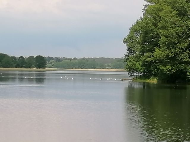 Zdjęcie Domki Letniskowe z plażą #7