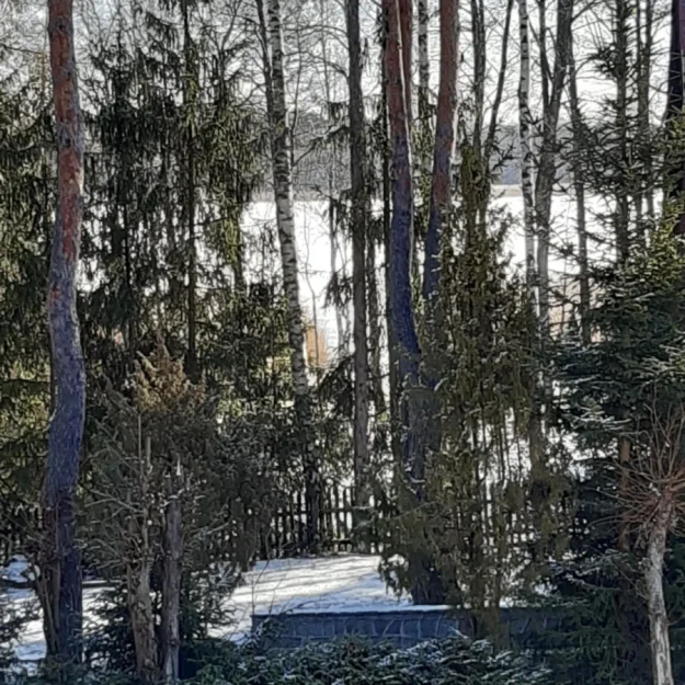 Zdjęcie Całoroczny domek 8-os. nad jeziorem #32